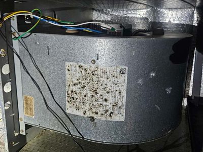 Hvac Blower Unit Maintenance